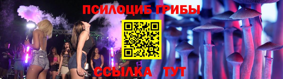 Галлюциногенные грибы Psilocybine cubensis Сызрань