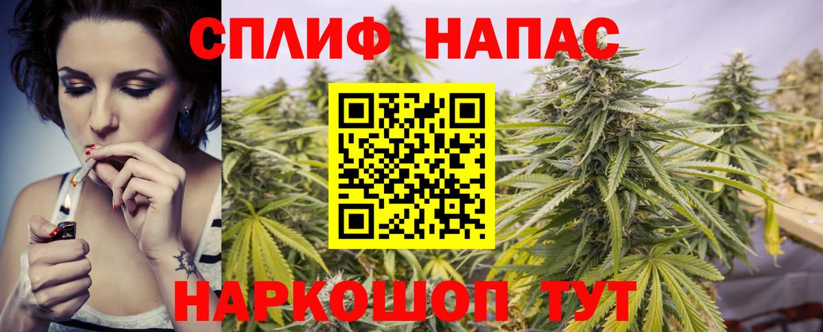 Каннабис Amnesia  Вход с VPN  Конопля семена  Бошки Шишки план  Сызрань  Бошки Шишки ГИДРОПОН 